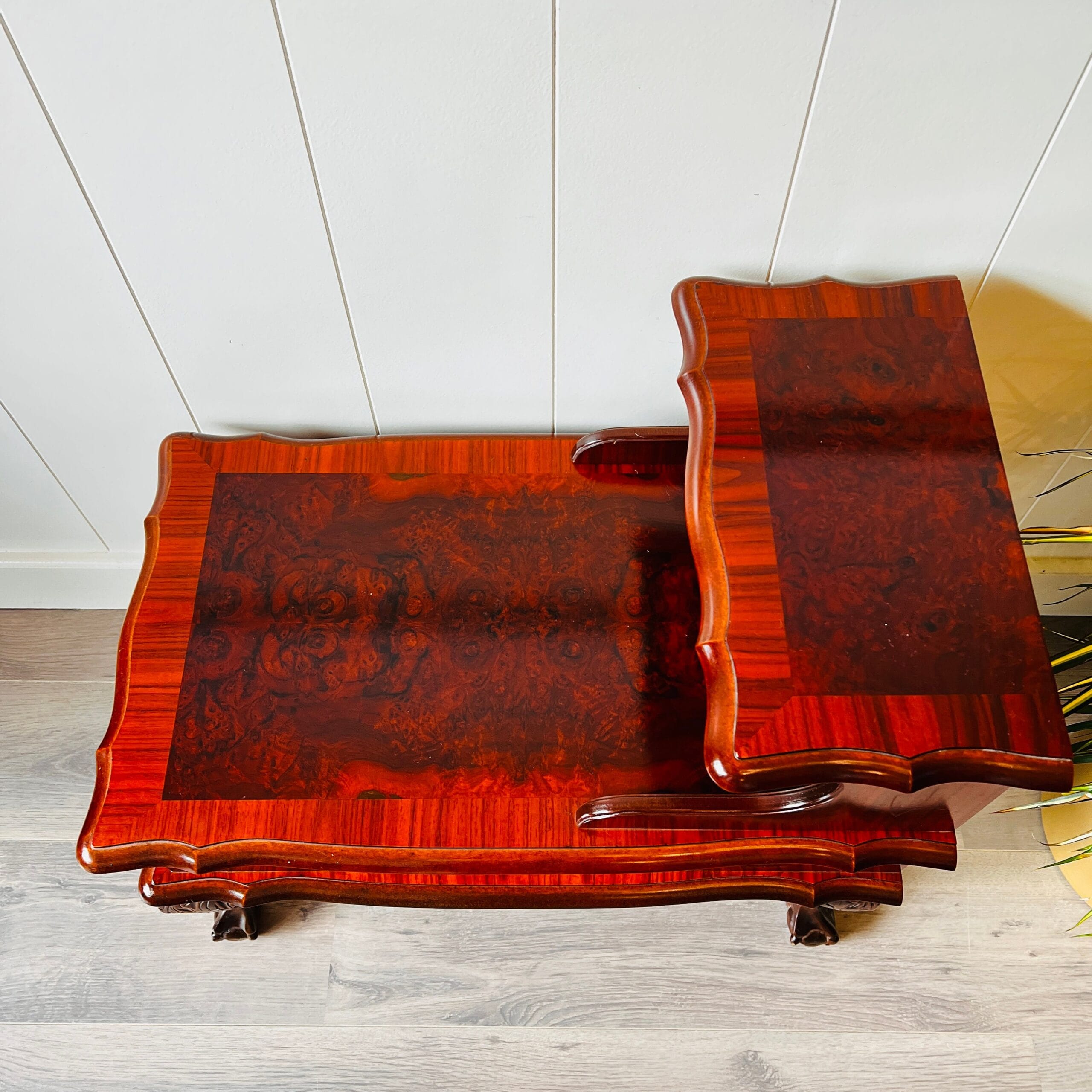 Wood Nightstand with Drawer, French Louis XV Bedside Cabinet, Chippendale Style Table with Lion Legs, Mid-Century Accent Piece