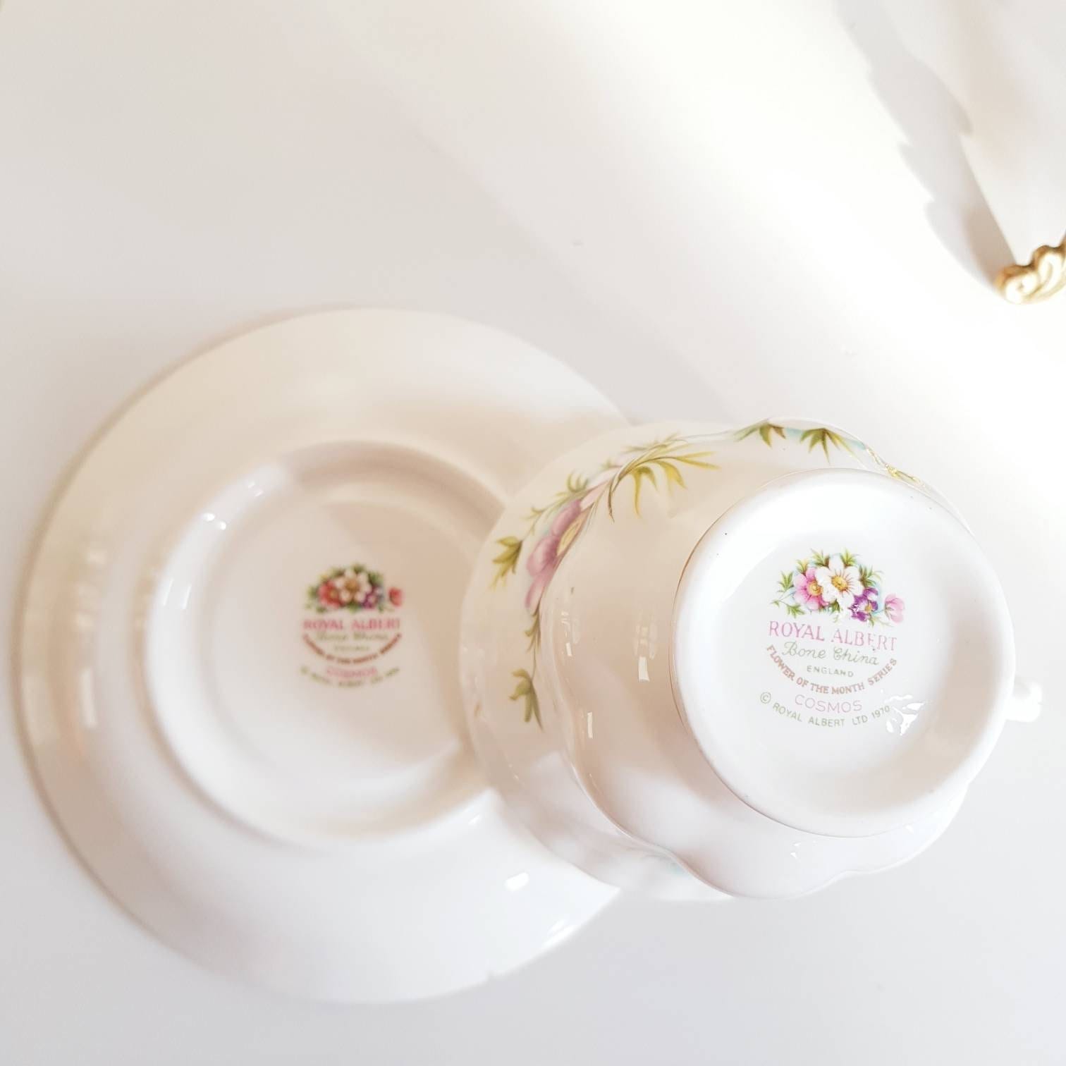 Royal Albert Bone China Teacup and Saucer Set - October Cosmos - Flower of the Month Series, Gold Trim, Made in England