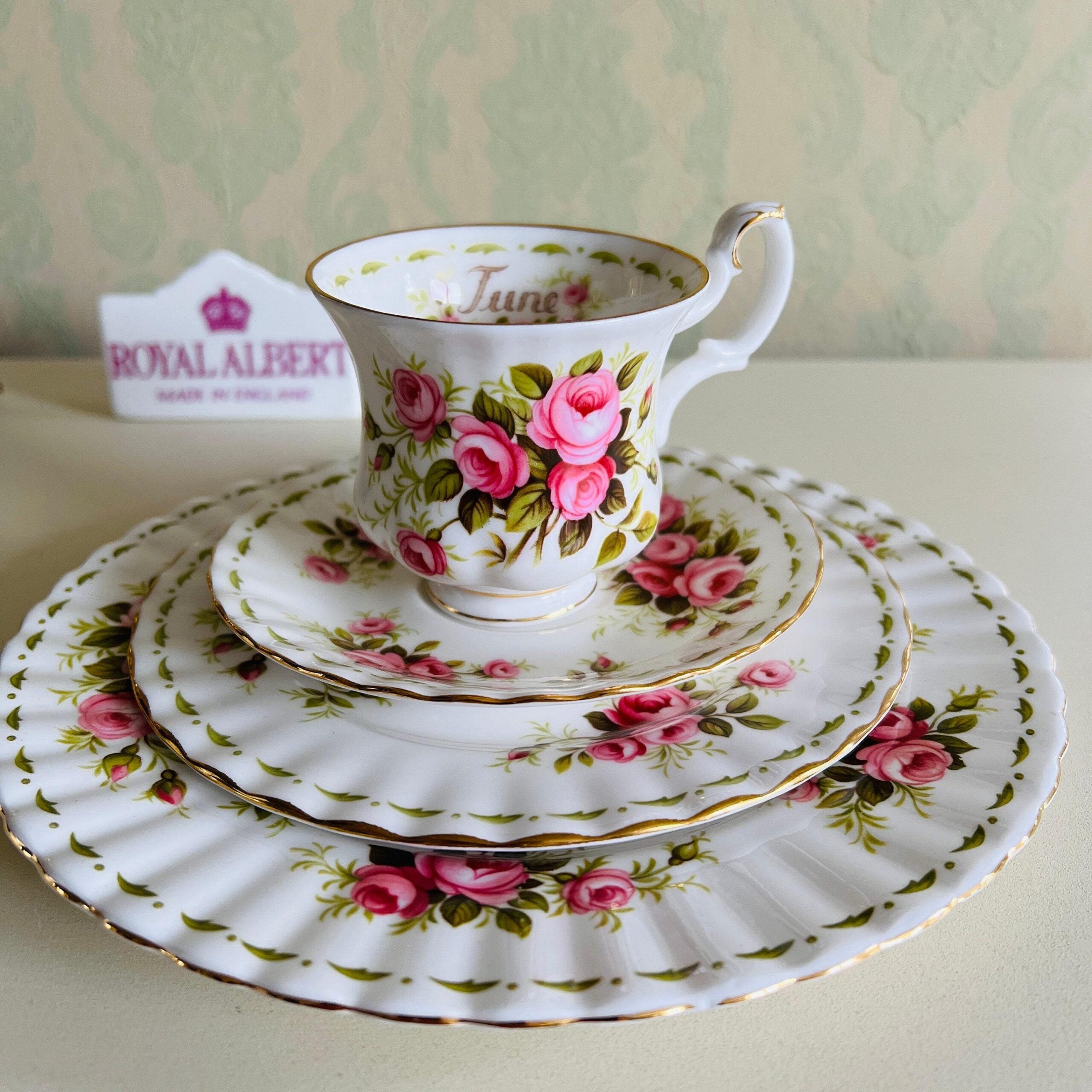 Bone China Tea Cup Saucer and Plates Set by Royal Albert, June Roses, Flower of the Month Series, Vintage Quad, Made in England